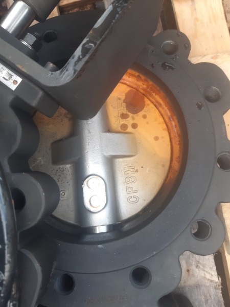 Vanne Papillon à Oreilles